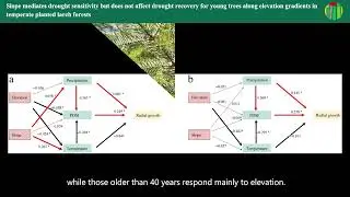 FE | Slope mediates drought sensitivity but does not affect drought recovery for young trees along