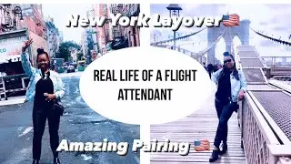 Real life of a Canadian flight attendant | New York layover 🇺🇸