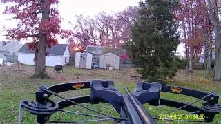 barnett recruit 25 yards with Lumenok bolts at deer target