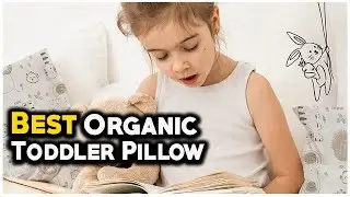 7 Best Organic Toddler Pillow 2022 -  Toddler's mama