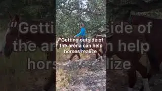 Reasons to Ride Your Horse Outside the Arena