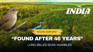 Rare & Wild Birds Information | Aviary & Bird Care | Mustafa Aviary