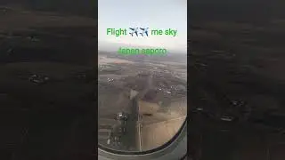 flight ✈️✈️🛫#automobile #live #shortsviral #status #airport