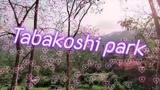 Darjeeling most beautiful place Tabakoshi Park Offbeat area of Darjeeling