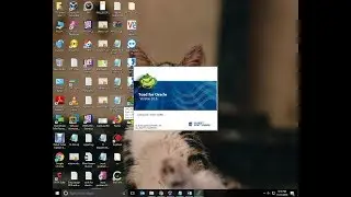 How to successfully install Toad in windows 10,8.1,8.0,7.0