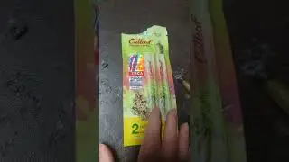NEW CALI HEMP BRAND??? Cutleaf- lemon cherry gelato preroll REVIEW