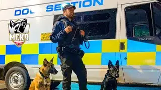 Security Dog Handler teams #securitydogs