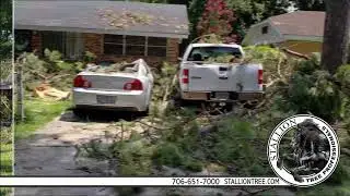 Stallion Tree Professionals - Helping prevent property damage from over grown trees - Commercial