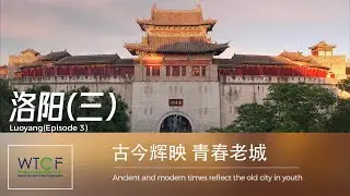 【WTCF City Members Tour Series】Luoyang, China