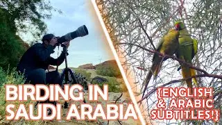 {ENG/ARABIC SUB} Channel Update and Our First Birding Adventure in Saudi Arabia