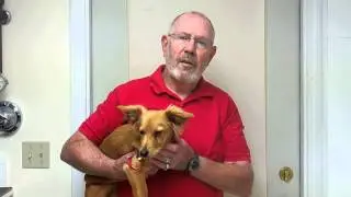 Butch Clark and Mason Lunenburg Veterinary Hospital Video Testimonial