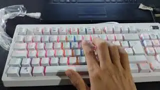 switches Brown sound ( mechanical keyboard )