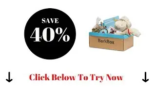 BarkBox Coupon - Try Now To Receive 40% Off