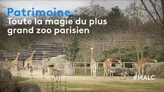 Patrimoine : toute la magie du plus grand zoo parisien