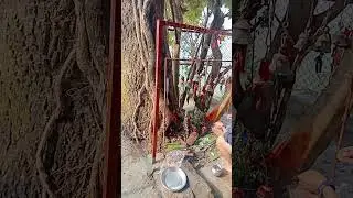tin kanya mandir nirman karya sampanna gari puja garidai