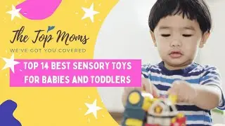 Top 14 Best Sensory Toys For Babies and Toddlers - Best Review for 2020