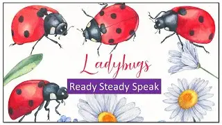 Ladybugs - SZÖVEGÉRTŐ és SZÓKINCSTANULÓ lecke