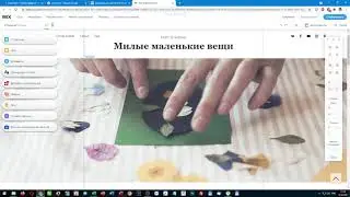 Создание сайта в онлайн-конструкторе Wix