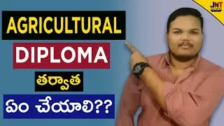 Career After Agricultural Diploma