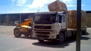 Stacking the windrowed wheaten straw in the shed