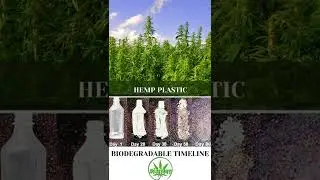 Biodegradable Hemp Plastic #ytshorts #hemplife