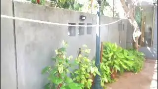 Fumigation Services