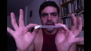 Los tratados de Rub&eacute;n Bonifaz Nu&ntilde;o sobre autores latinos