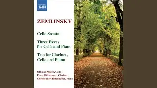 Trio for Clarinet, Cello and Piano in D Minor, Op. 3: II. Andante