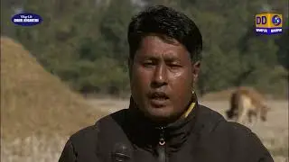 Village Life (Khungangee Punshida) |Chairel Leingangtabi