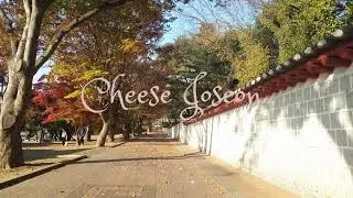 🎹🌸 Emotional Korean Historical Drama Piano Music | Traditional OST Piano Covers