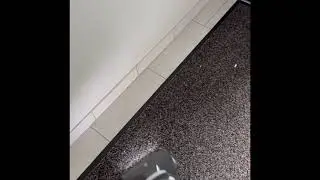 No dust emission by emptying a stick vac👍