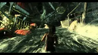 Tomb Raider with XFX Black Edition HD-687A-ZDBC at 1344X690 (Ultimate, 16x FXAA, SSAO Ultra)