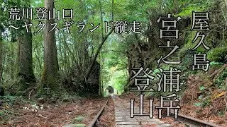 【宮之浦岳登山】素晴らしい　屋久島絶景てんこ盛りコース、荒川登山口〜ヤクスギランド縦走　県最高峰シリーズ　鹿児島県mountain climbing Yakushima