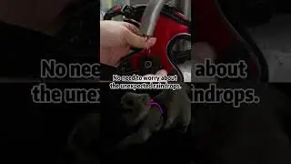 Waterproof Test: LED Dog Harness
