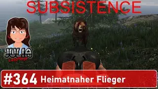 Heimatnaher Flieger - Subsistence #deutsch #364