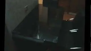 MOV00459