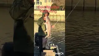 Clod Weather Redfishing #redfish #coldweather #6thsensefishing #fishing