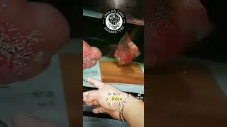 ACE thắc mắc về kamfa F1🥰🥰