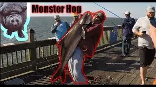 Catching Hogs At Buckroe Fishing Pier(Buckroe Fishing Chronicles pt1)