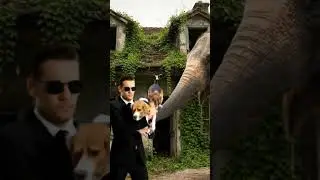 Mysterious Hero & Elephant's Aerial Rescue of Trapped Dog