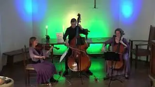 Kamermuziek  Suono Profundo slot Zomiac Lonneker