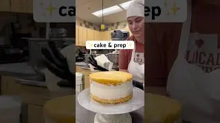 Cake & prep #cake #cakeseries #cakedecorating #cakeshorts #baking #short #shorts #shortvideo