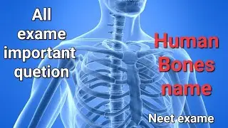 Human body bones name // मनुष्य के शरीर की हड्डियों के नाम क्या हैं//Neet exame question important