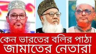 কেন ভারতের বলির পাঠা জামাতের নেতারা #জামাত_শিবির #ভারতীয়আগ্রাসন #রাজনীতি #বিএনপি #আওয়ামী #gmvoice