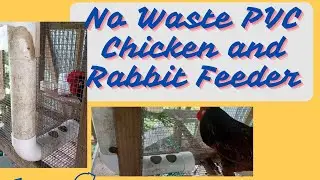 No Waste chichken and Rabbit PVC Feeder # St. Mary High School# Jamaica#backyardchickens