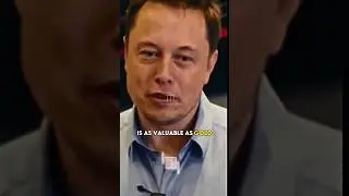 Elon Musk on Embracing Criticism: How Feedback Fuels Success (2024 Interview)