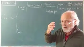 BIOLOG·114   ...   REPRODUCCION DE LOS HONGOS