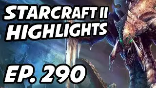 StarCraft II Daily Highlights | Ep. 290 | Avilo, x5_PiG, wintergaming, thomebrazil, Maynarde