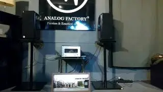 Micro, Analog Factory