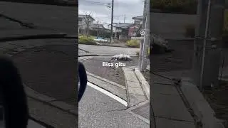 Gempa jepang